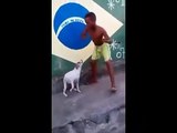 Dancing Dog . Wow what a performance