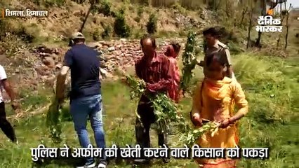 पुलिस ने अफीम की खेती करने वाले किसान को पकड़ा