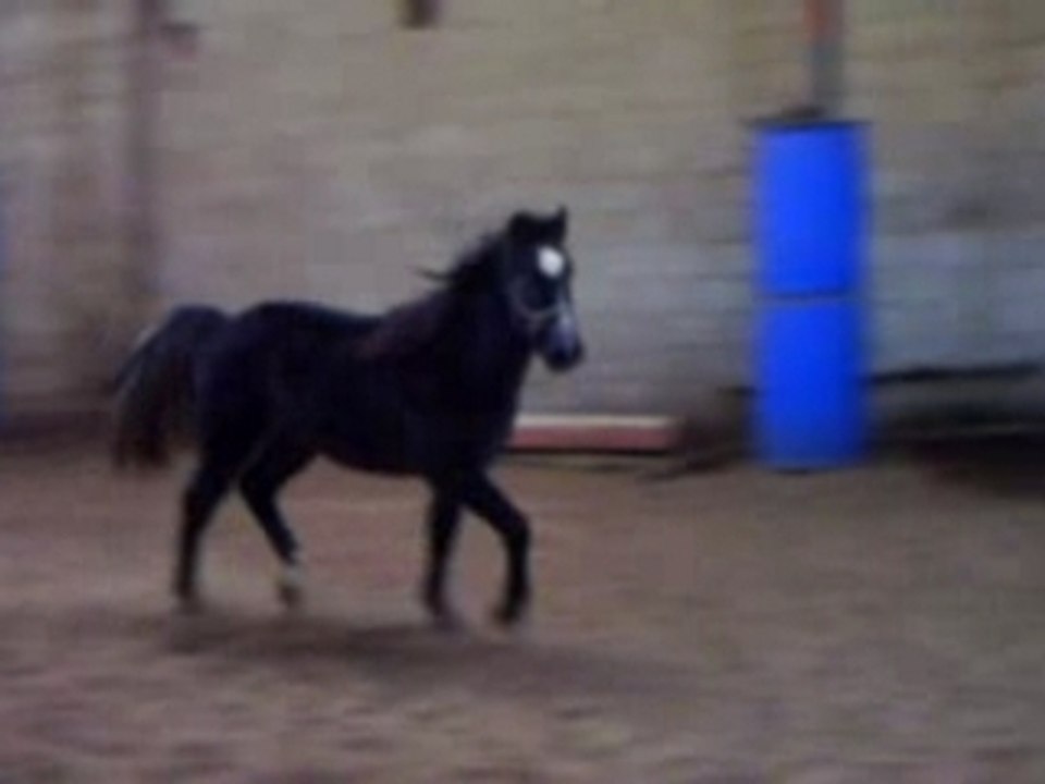CLIP0066