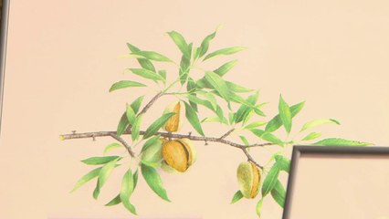 Jardin - La nature en aquarelle