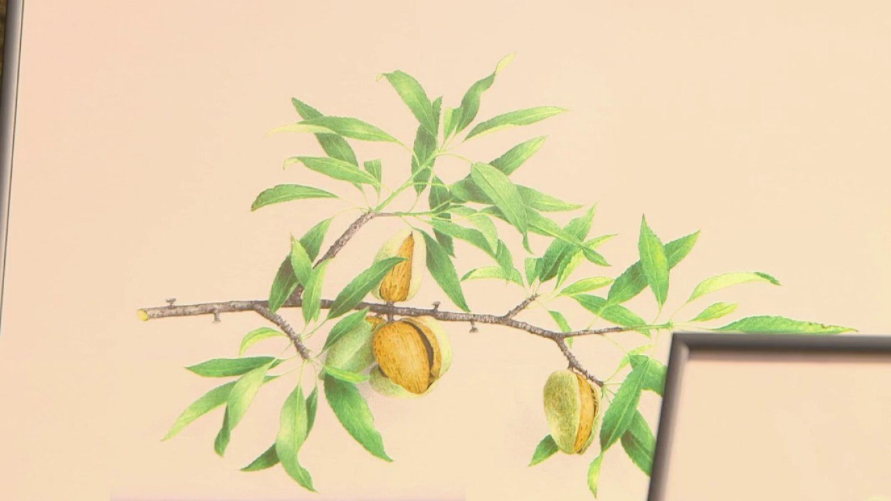 Jardin - La nature en aquarelle