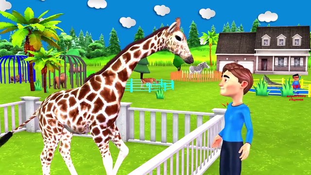 Three Little Kittens In Outdoor Playground For Kids - Funny Cats Baa Baa Black Sheep Nursery Rhymes | Best Cartoon Movies