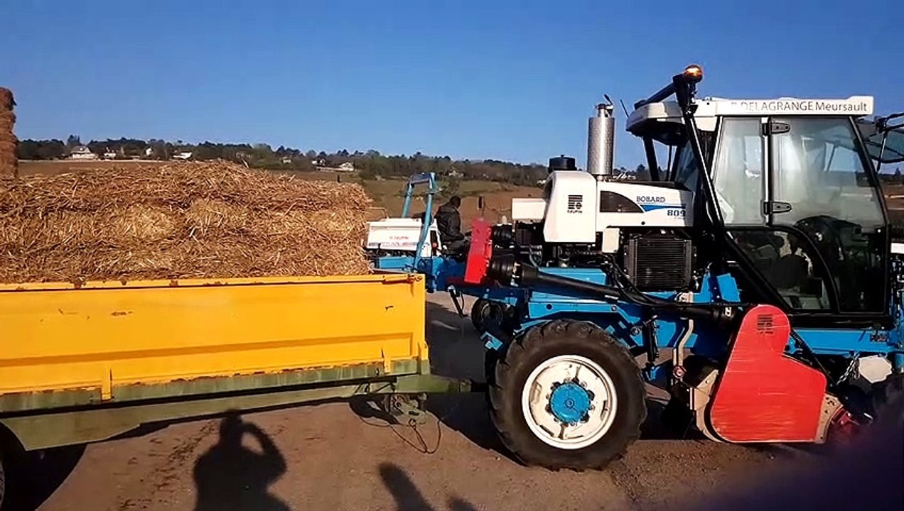 Des bottes de paille pour lutter contre le gel dans les vignes