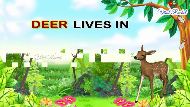 Animal Home Names for Kids in English || Homes of Animals and Birds in English | Animal and Their Home Names For Kids In English || Preschool - Viral Rocket