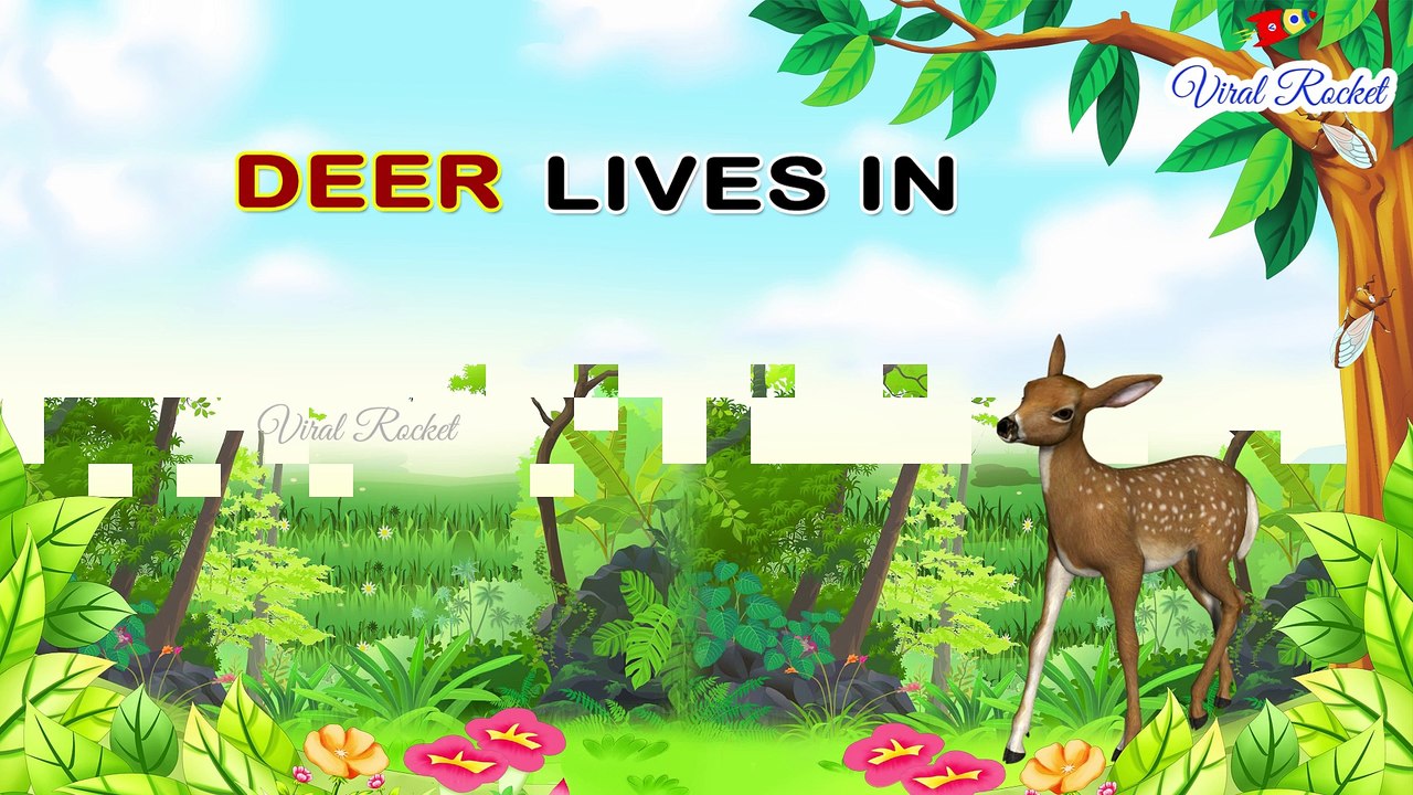 Animal Home Names for Kids in English || Homes of Animals and Birds in English | Animal and Their Home Names For Kids In English || Preschool - Viral Rocket