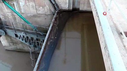 Oltu Çayına zift döktüler