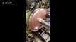 Hypnotic 'metal spinning' machine perfectly shapes copper disc into dome