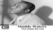 Muddy Waters - Baby, please don't go