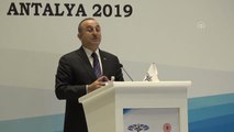 Dışişleri Bakanı Çavuşoğlu: 