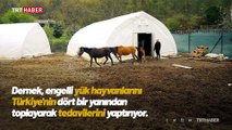 Ölüme terkedilen engelli yük hayvanlarını hayata bağlıyorlar