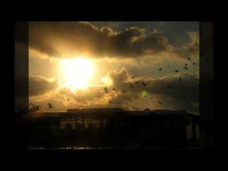 نيرمين ابراهيم - مكحل عينو - Nermin lbrahim -mogahal aeno