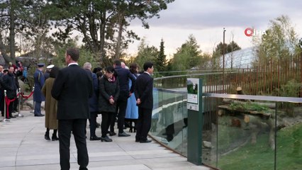 - Danimarka Kraliçesi, Çin’den Getirilen Dev Pandaları Ziyaret Etti