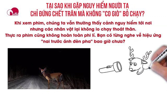TẠI SAO KHI GẶP NGUY HIỂM NGƯỜI TA CHỈ ĐỨNG CHẾT TRÂN MÀ KHÔNG CO GIÒ BỎ CHẠY?