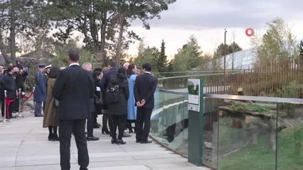 Danimarka Kraliçesi, Çin'den Getirilen Dev Pandaları Ziyaret Etti