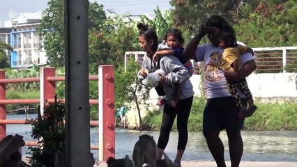 Monkeys cool off in lake as temperatures soar at the start of Thailand's new year