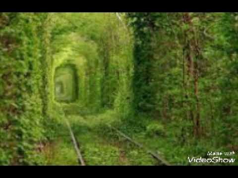 خطرنا على بالك #طوني حنا #صباح الطرب#RENA BEAUTY CENTER