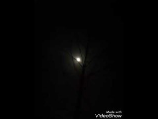 ناصيف زيتون#منو شرط