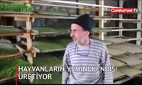 Hayvanların yemini kendisi üretiyor