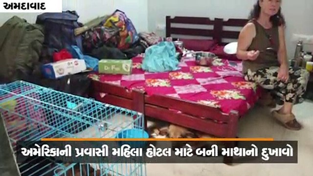 છ બિલાડી, સાત કૂતરા અને એક બકરો લઈને આવી અમેરિકન મહિલા, અમદાવાદના હોટલ માલિકને છૂટ્યો પસીનો