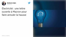 Prix de l'électricité : deux associations demandent à Emmanuel Macron d'empêcher une hausse des tarifs