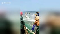 Chinese fishermen free enormous shark trapped in fishing net