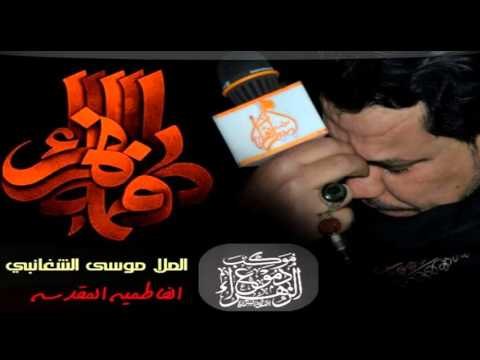 ملا موسى الشغانبي || شوك الرضا || الفاطمية المقدسة || موكب دموع الزهراء _ السماوة