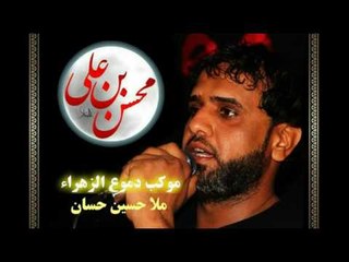ملا حسين حسان || مالك الروح || موكب دموع الزهراء _ السماوة