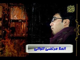 ملا مرتضى الوالي || أدركيني || موكب دموع الزهراء _أهالي السماوة