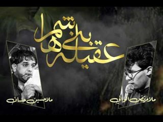 مرتضى الوالي _ خوية عباس ( شور ) _ موكب سفينة النجاة . السماوة