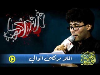 مرتضى الوالي _ ابوي وفاركاني ( شور ) _ موكب دموع الزهراء . السماوة