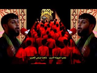 حيرة بنت حسين _ سيد فاقد الموسوي _ موكب دموع الزهراء . السماوة