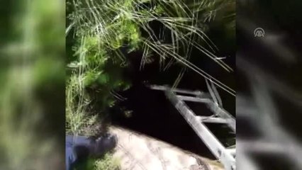 Muğla'da Kuyuya Düşen Köpek Kurtarıldı