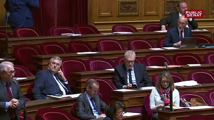 Biodiversité: un sénateur compare les accidents de chasse aux accidents de trottinette