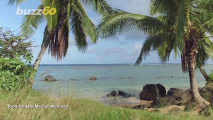 Hawaiian Hunger! Arby’s Will Fly You To Hawaii For Just $6 But Only For 6 Hours!
