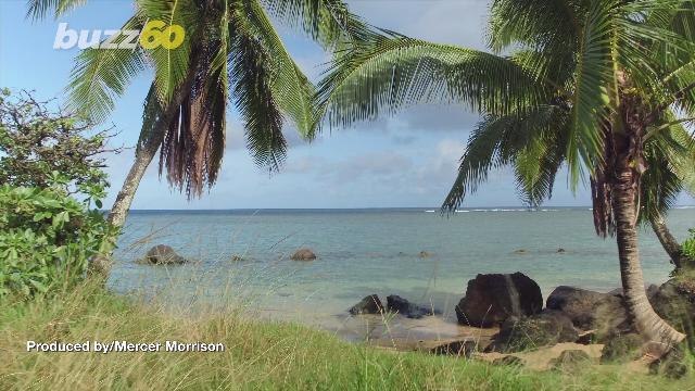 Hawaiian Hunger! Arby’s Will Fly You To Hawaii For Just $6 But Only For 6 Hours!