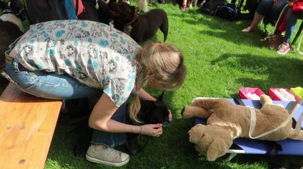 Quévy : apprendre les gestes pour sauver votre animal