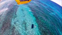 Kitesurfing with Hundreds of Sharks