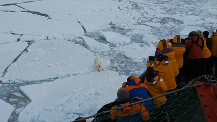 Watch: Russia seeks to send more tourists to its Arctic zone