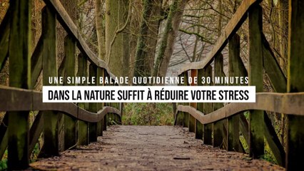 Une simple balade quotidienne de 30 minutes au milieu de la nature suffit à réduire votre stress