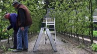 PORTRAIT OF A GARDEN Feature Film