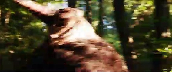 KRAMPUS VS VIKINGS TRAILER