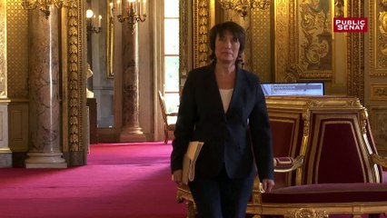 Intro Documentaire "Affaire Benalla, le Sénat mène l'enquête"