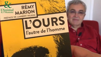 Interview 3  de Rémy Marion :  L’ourse est-elle une mère idéale?