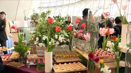 Japonya “Hazineler ve Osmanlı İmparatorluğu’nda Lale Geleneği Sergisi”ne ev sahipliği yapıyor