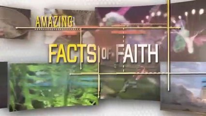 Amazing Fact of Faith - Languages