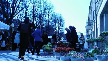 O franka Stasys Povilaitis