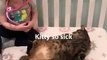 Quand une adorable petite fille joue au vétérinaire avec son chat. Trop mignon !