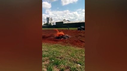 Morador reclama de fogo em madeiras