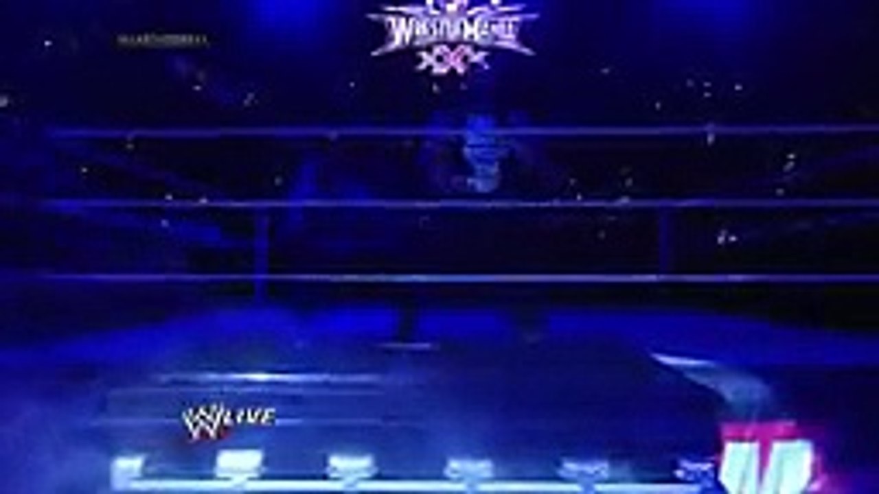 wwe super fighters