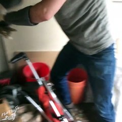 Socializing a Spicy Feral Kitten